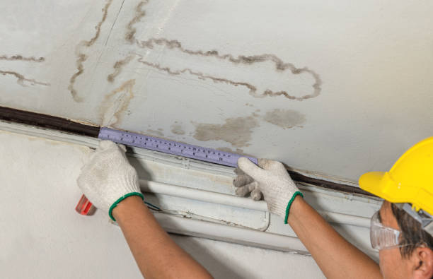 Reliable Flood Cleanup contractor in Somerville, NJ by Water Damage Irwin